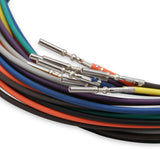INJECTOR DRIVER MODULE, W/ HARNESS