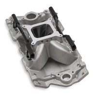 SBC EFI INTAKE MANIFLD AND FUEL RAIL KIT