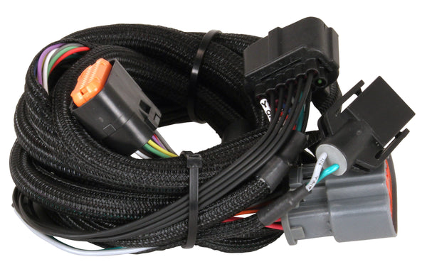 Harness, Ford (4R100 1998-up)