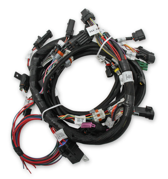 MAIN HARNESS, FORD COYOTE TI-VCT