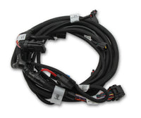SUB HARNESS, FORD COYOTE TI-VCT 2011-2012