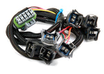 FORD V-8 INJECTOR HARNESS