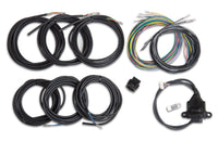 KIT, I/O ADAPTER WITH UNTERMINATED VEHICLE HARNESS