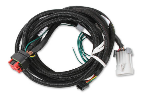 MSD EFI And LS Harness - Pro 600 80002