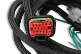 MSD EFI And LS Harness - Pro 600 80002