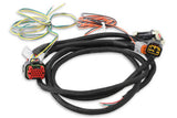 MSD Power Grid Harness - Pro 600 80003
