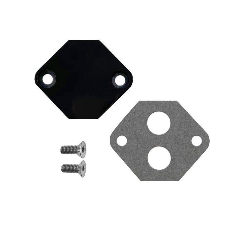 Idle Air Control Block Off Plate – Ford Black – MAD Racing Parts