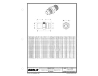 Earls Straight Male AN -6 to 1/2" NPT AT981668ERL